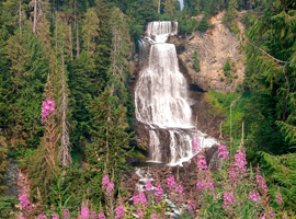 ALEXANDER FALLS