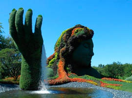 JARDÍN BOTÁNICO