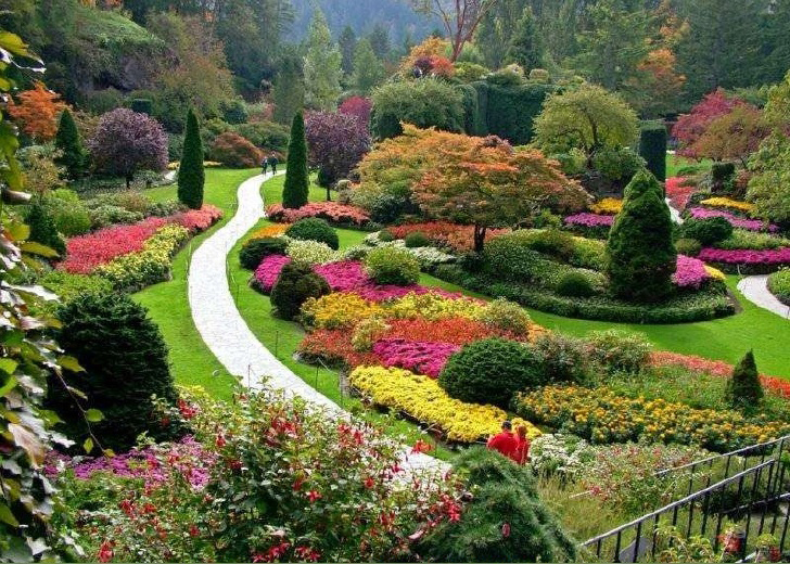 JARDÍN BÓTANICO
